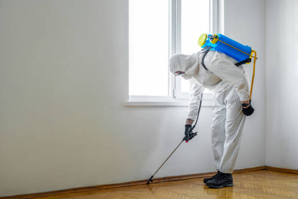 Pest Prevention Services in Manchester, VA