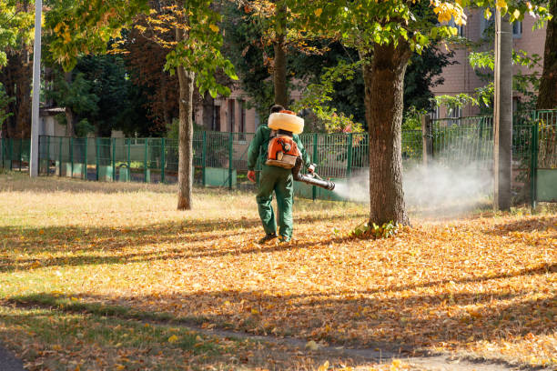  Manchester, VA Pest Control Pros